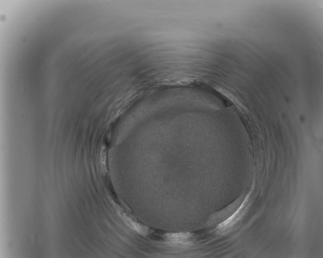 X0000064770192200602131326