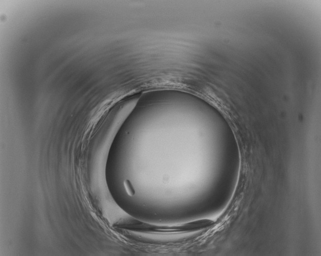 X0000064770193200602131325