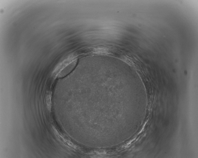 X0000064770194200602131325