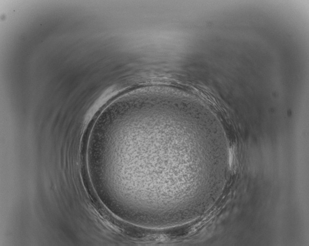 X0000064770195200602131325