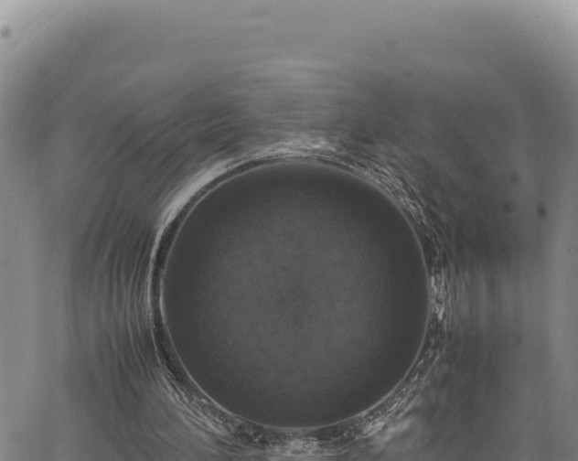 X0000064770196200602131325