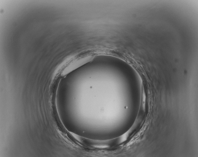 X0000064770197200602131325