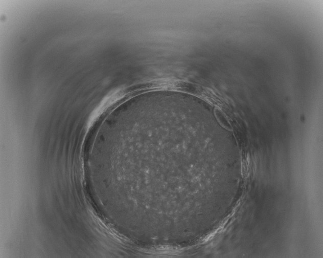 X0000064770198200602131325