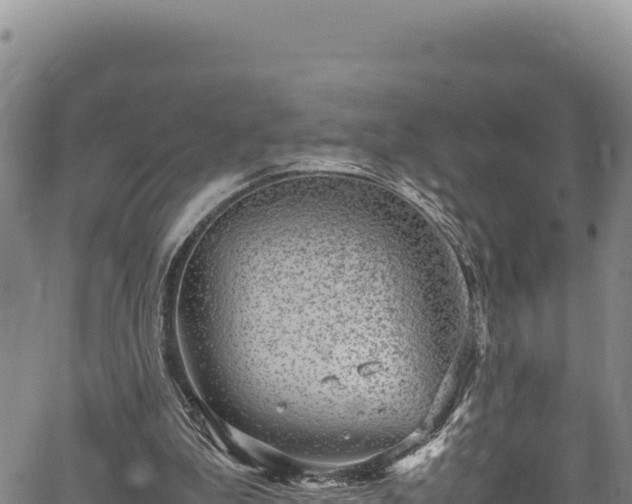 X0000064770199200602131325