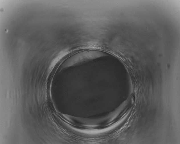 X0000064770200200602131325