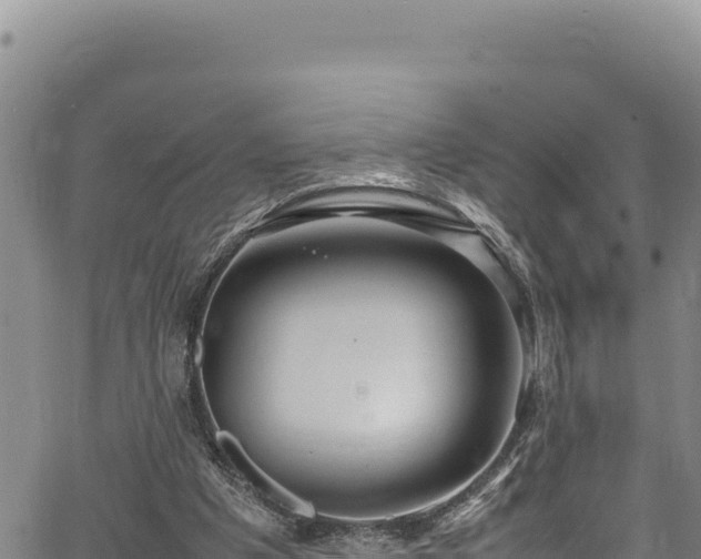 X0000064770201200602131325