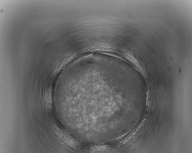 X0000064770202200602131325