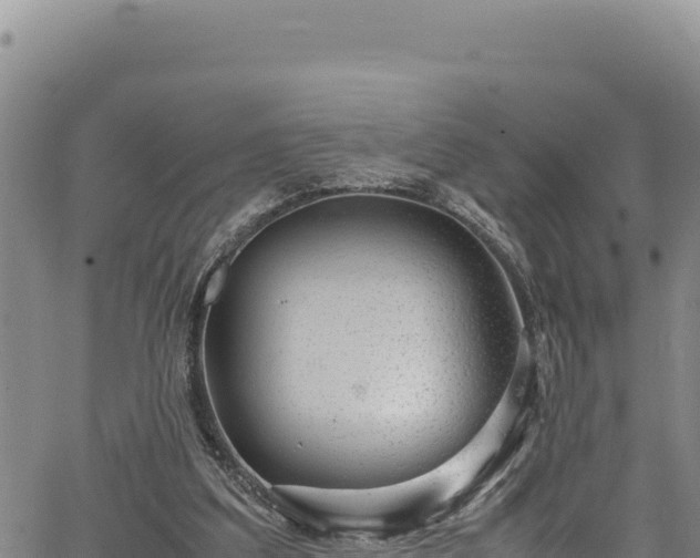 X0000064770203200602131325