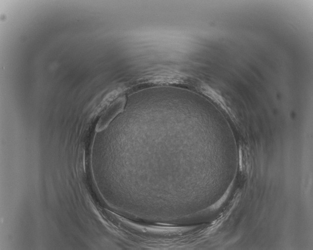 X0000064770205200602131325