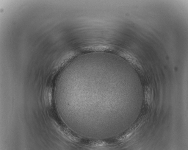 X0000064770206200602131325