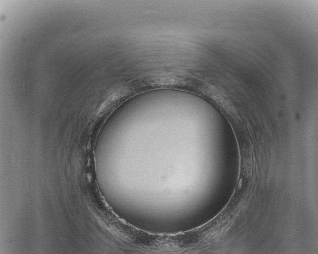 X0000064770207200602131325