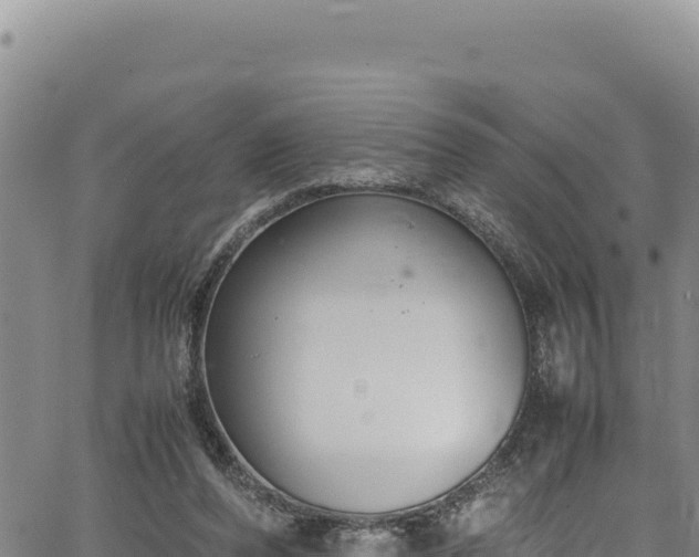 X0000064770208200602131325