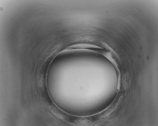 X0000064770209200602131325