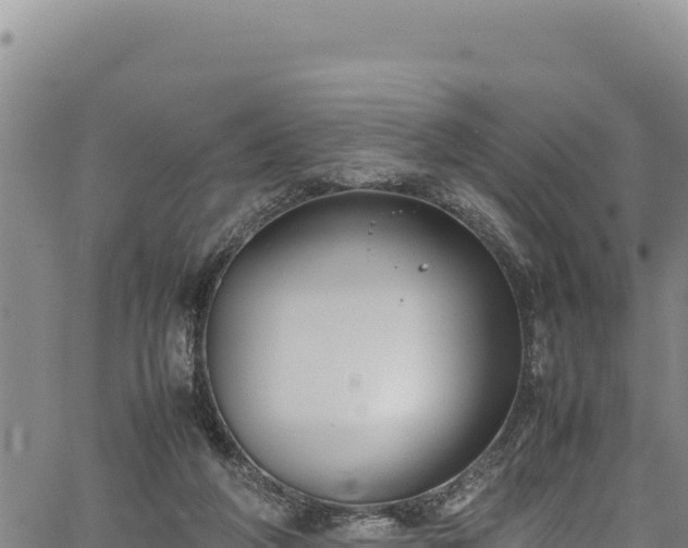 X0000064770210200602131325