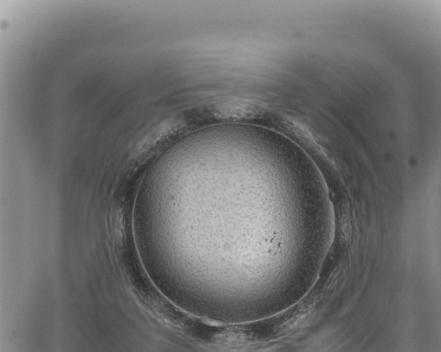 X0000064770211200602131325