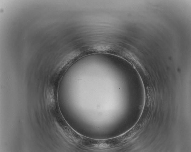 X0000064770212200602131325