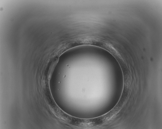 X0000064770213200602131325