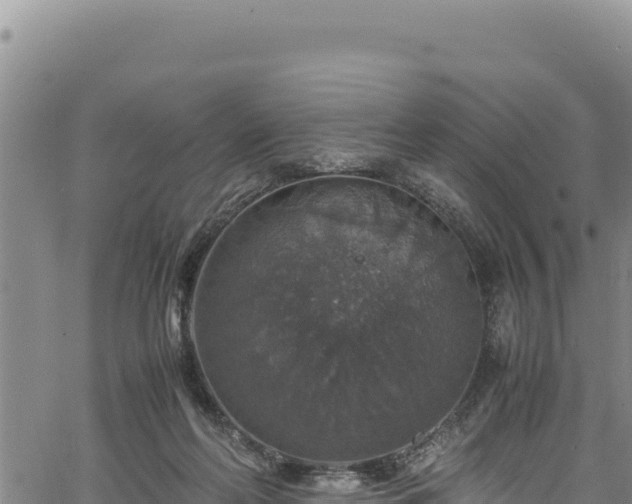 X0000064770214200602131325