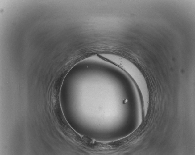 X0000064770215200602131325