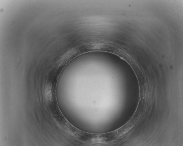 X0000064770216200602131324