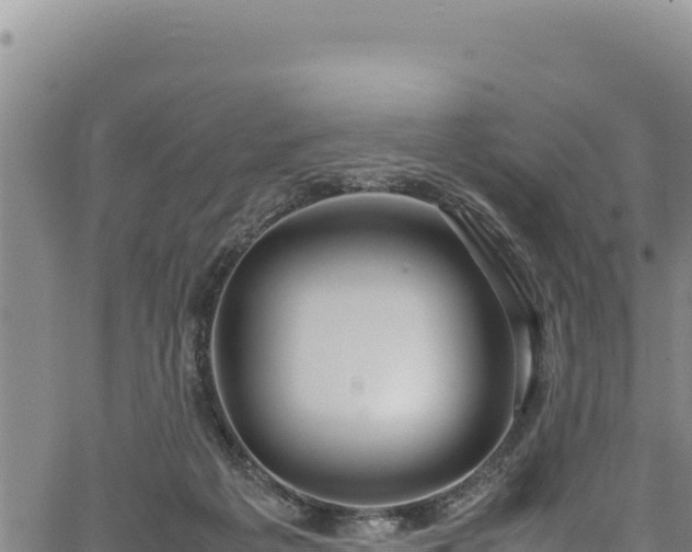 X0000064770217200602131324