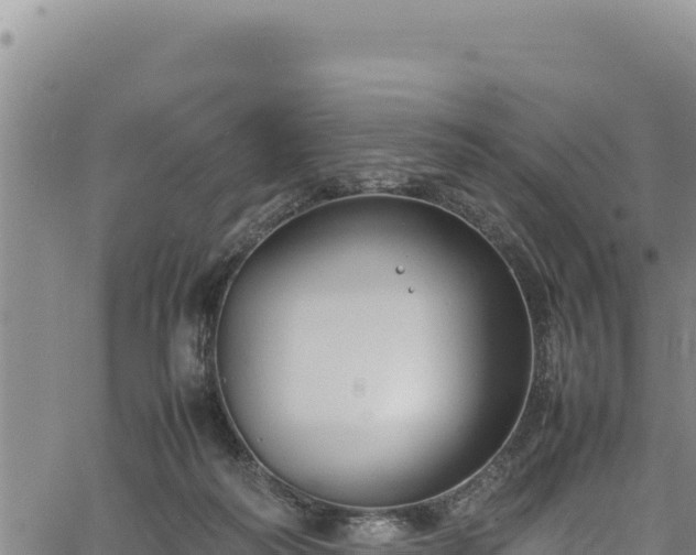 X0000064770218200602131324