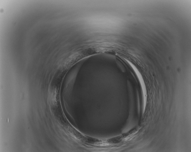 X0000064770219200602131324