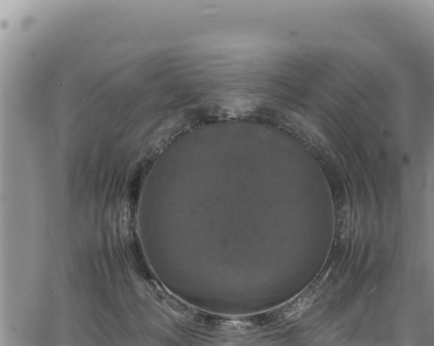 X0000064770222200602131324