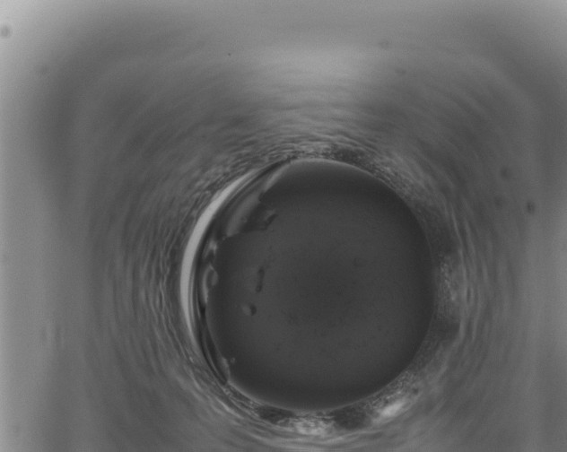 X0000064770223200602131324