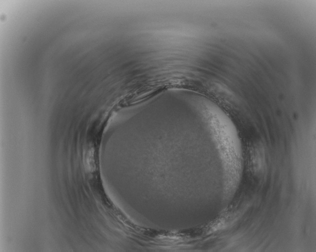 X0000064770224200602131324