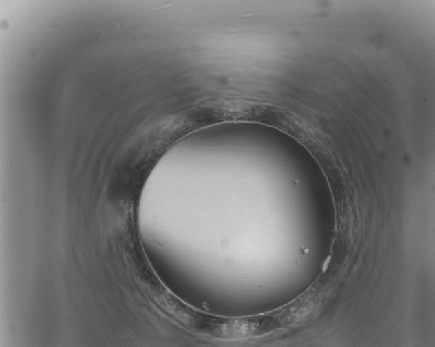 X0000064770225200602131324