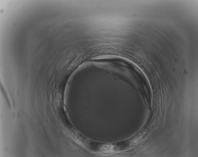 X0000064770227200602131324