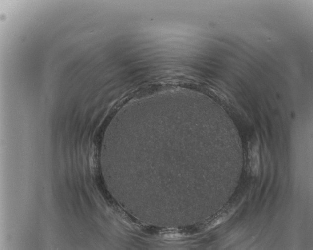 X0000064770228200602131324