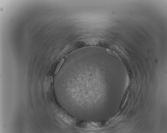 X0000064770229200602131324