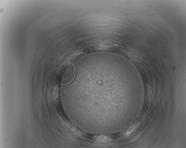 X0000064770230200602131324