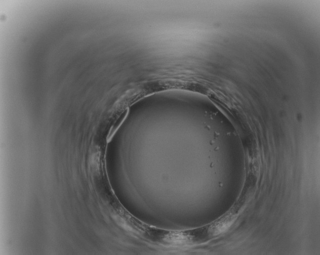 X0000064770231200602131324