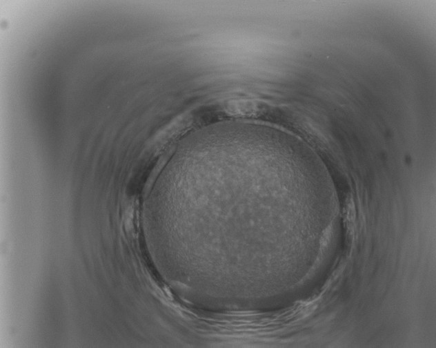 X0000064770233200602131324