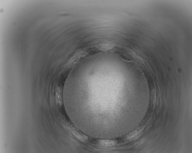 X0000064770234200602131324