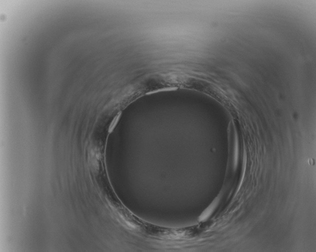 X0000064770235200602131324