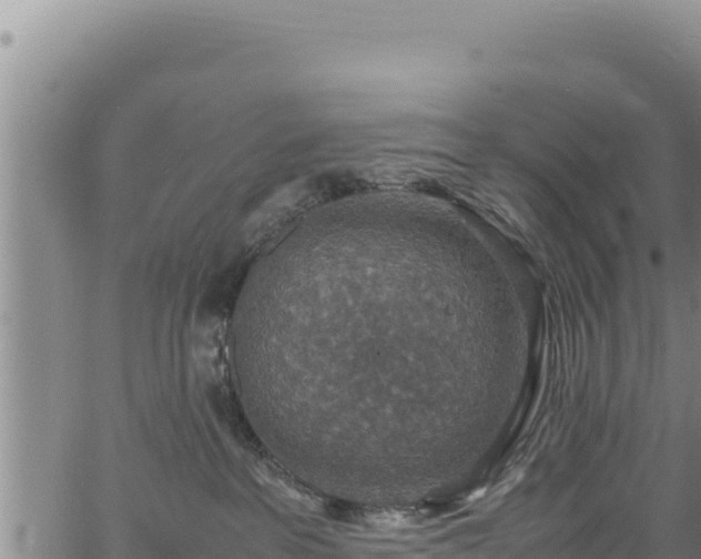 X0000064770237200602131324