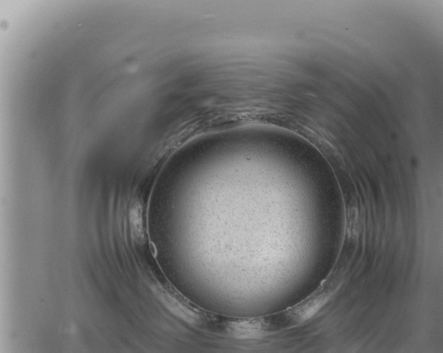 X0000064770238200602131324