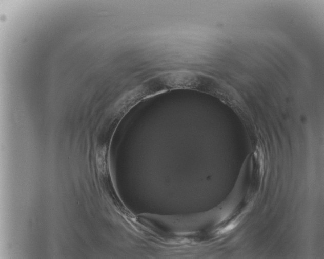 X0000064770239200602131324