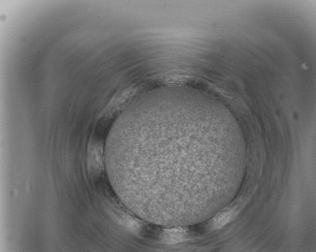 X0000064770240200602131324