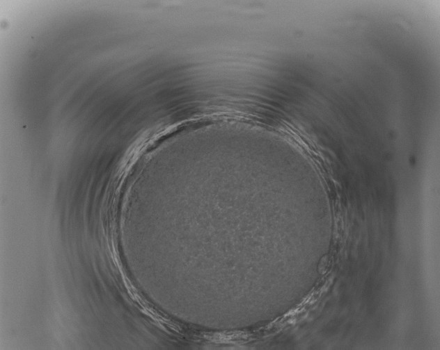 X0000064770241200602131323