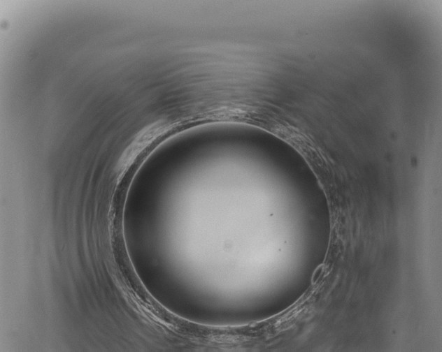 X0000064770242200602131323