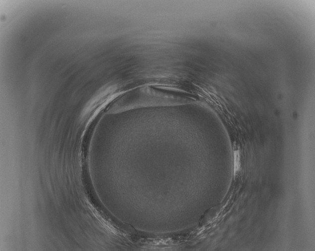 X0000064770243200602131323