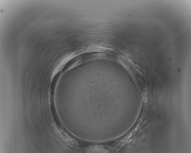 X0000064770244200602131323