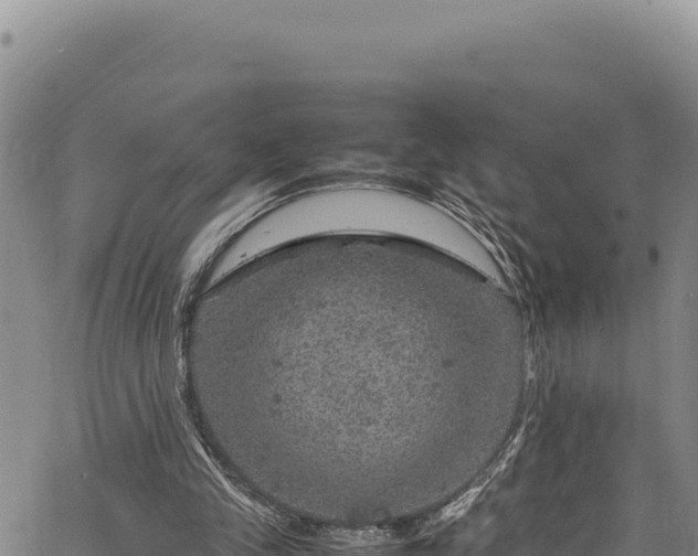 X0000064770245200602131323