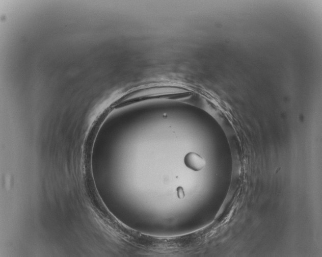 X0000064770248200602131323