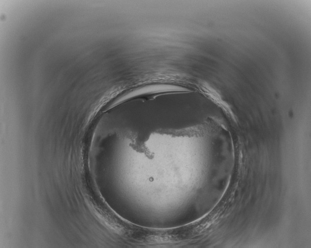 X0000064770250200602131323